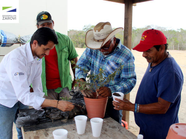 Curso de Plantas